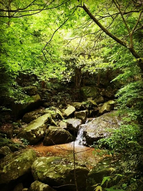小溪水拟人句