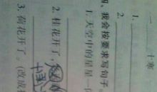 柿子拟人句仿写