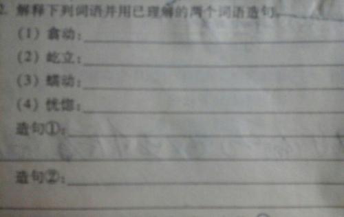 一棵大树