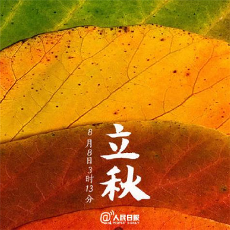 李秋滑稽的祝福