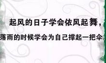 2020经典现实语录