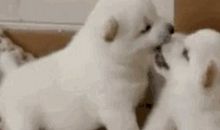 狗嘴里丢骨头歇后语