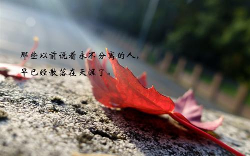 一句话的女孩