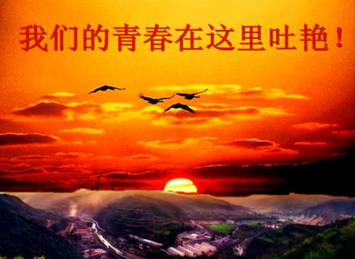 中秋节快乐