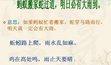 写一句天气的谚语