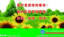 高三年级运动会口号