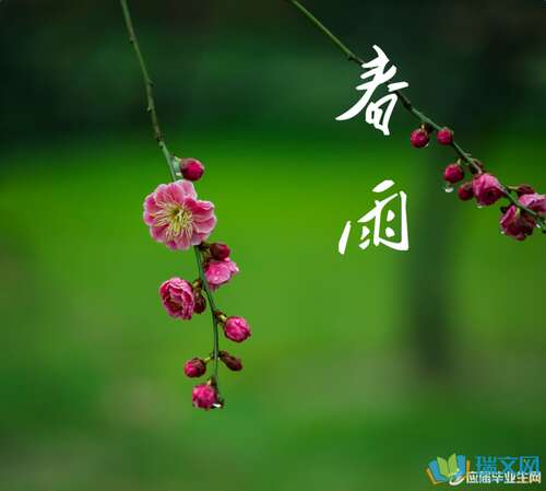 关于春雨的句子