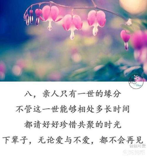 隐喻的感情
