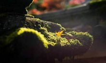 机会靠自己争取，命运需自己把握