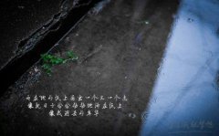 谈论雨