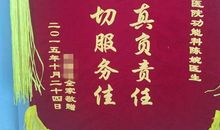 对工作认真负责的句子