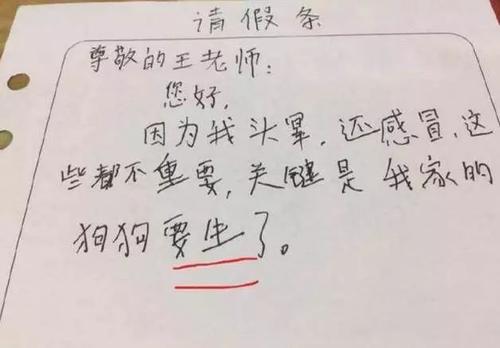 在句子中