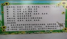 班级努力方向口号