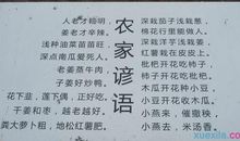 生活当中的谚语