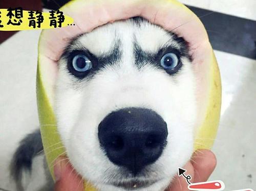 刺穿一句话