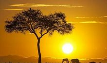 形容日出的优美句子