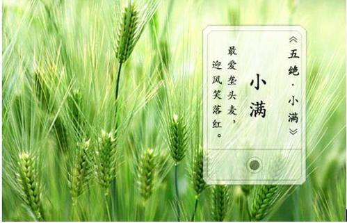 关于叶的谚语