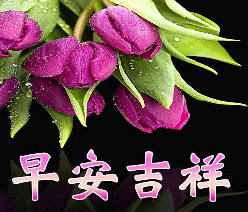 周末祝福2019