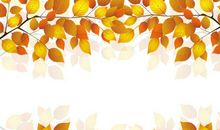 秋天颜色比喻句