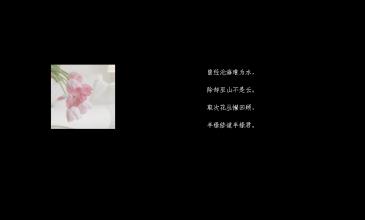 适合QQ签名的古诗