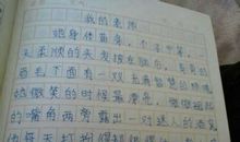 描写神态的段落