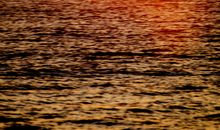 描写大海日出的句子