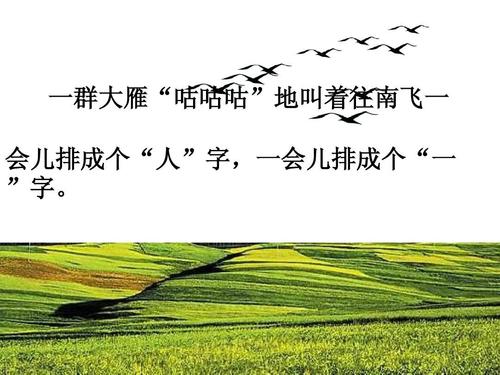 野鹅的寓言