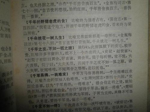 高中测验中的英语谚语
