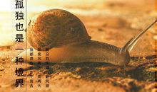 蜗牛精神的励志句子励志语录