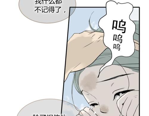 无耻的模仿
