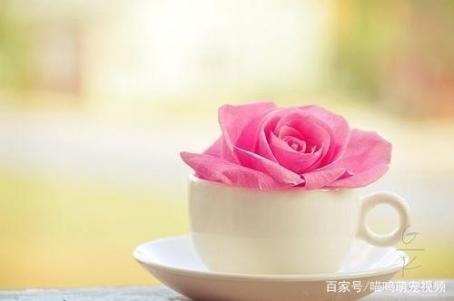 好心情的句子