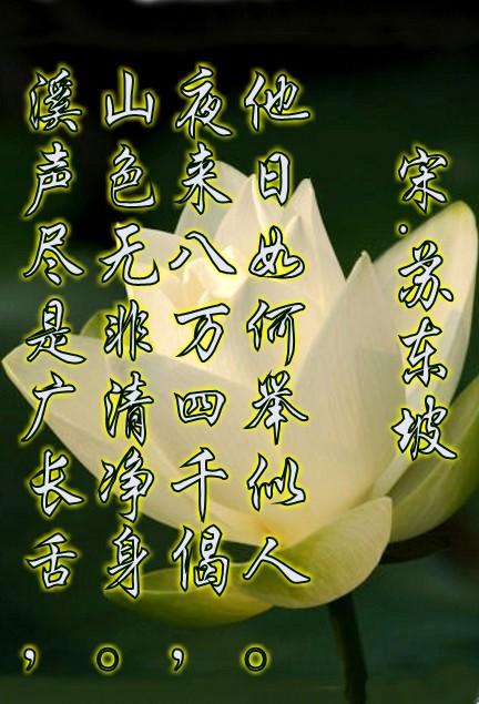 关于茶的经典名言