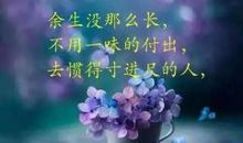 感悟经典的句子