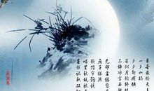 白落梅古风语录