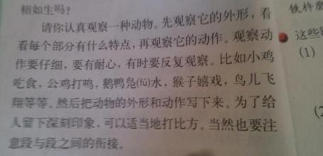 描述人类行为的句子