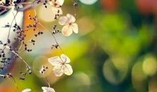 大惊失色造句大全