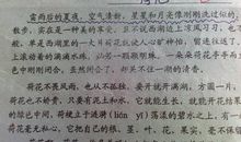 形容水的比喻句