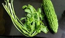 苦瓜拌黄连歇后语