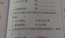 神态动作的句子