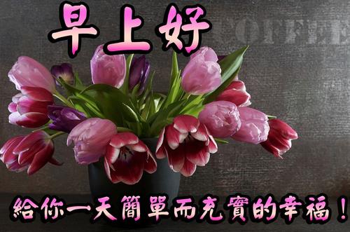 写早上的句子