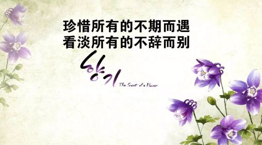 促进学生成长和理解的句子