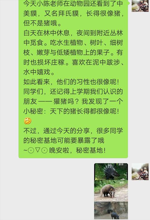 脏话