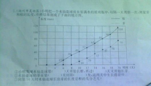 鸭嘴寓言
