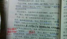 描写动作与神态的句子