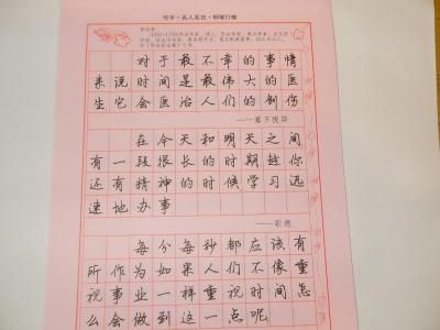 谚语与叶