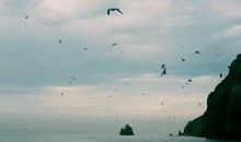 人生的感悟句子