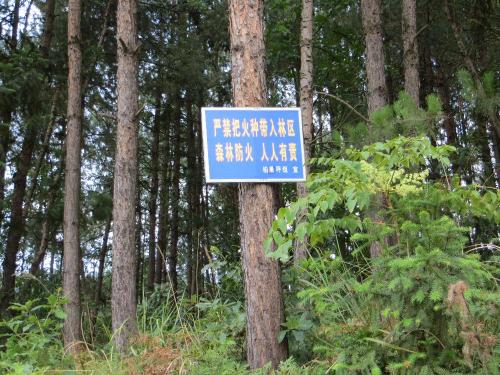 森林口号