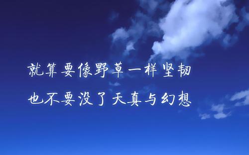 描述永不放弃的句子