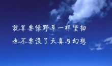 描写不放弃的句子