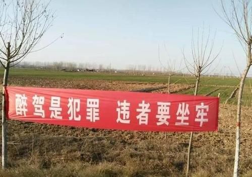 春节口号